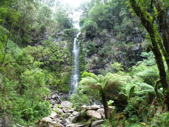 Erskine Falls (Lorne)