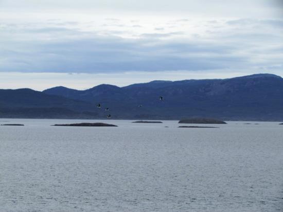 Canal Beagle