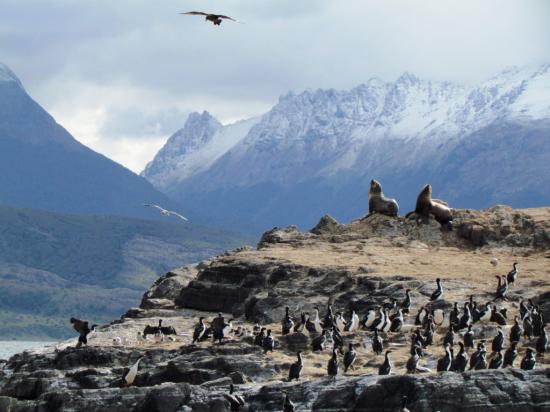 Canal Beagle