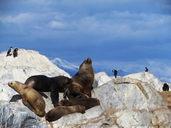 Canal Beagle