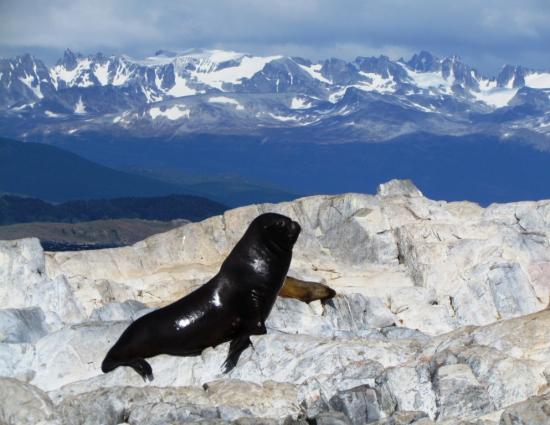 Canal Beagle