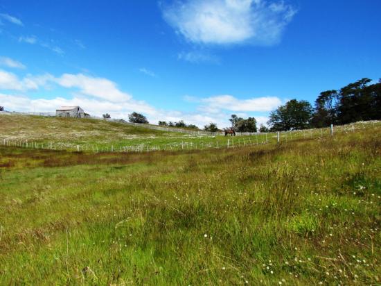 Estancia Harberton