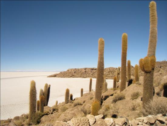 Le Salar de Uyuni