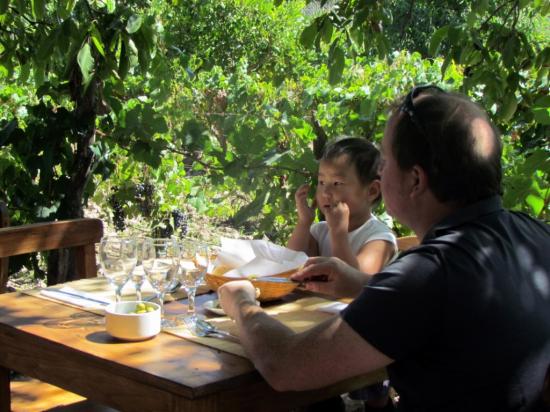 Resto-vignoble Cecchini-vins bio