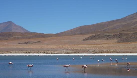 Le Sud Lipez, una laguna