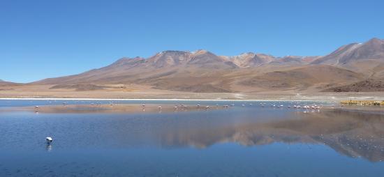 Le Sud Lipez, una laguna