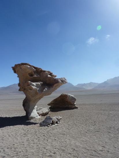 Le Sud Lipez, "l'arbre Pierre