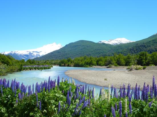 Paysage proche du Cerro Tronador