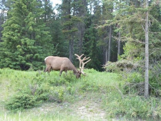 Rencontre en chemin