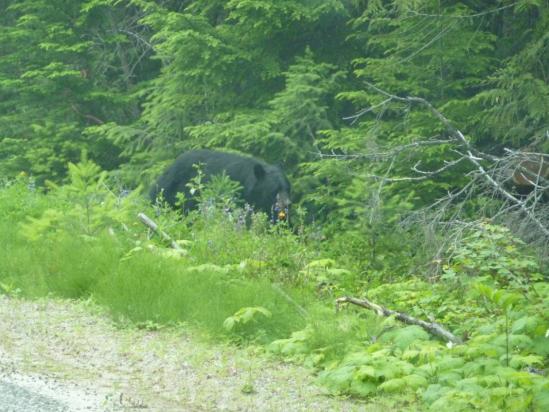 Rencontre en chemin