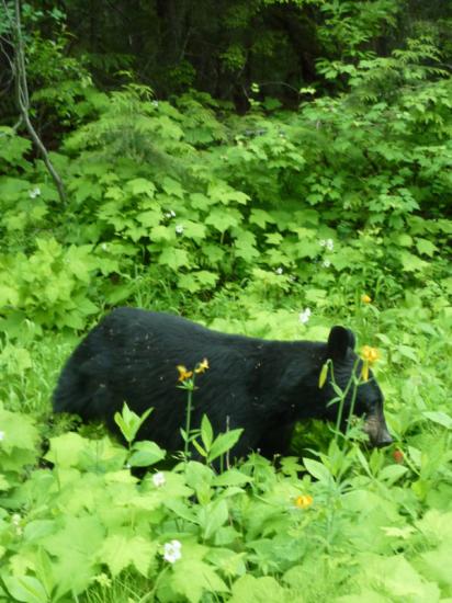 Rencontre en chemin