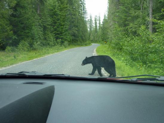 Rencontre en chemin