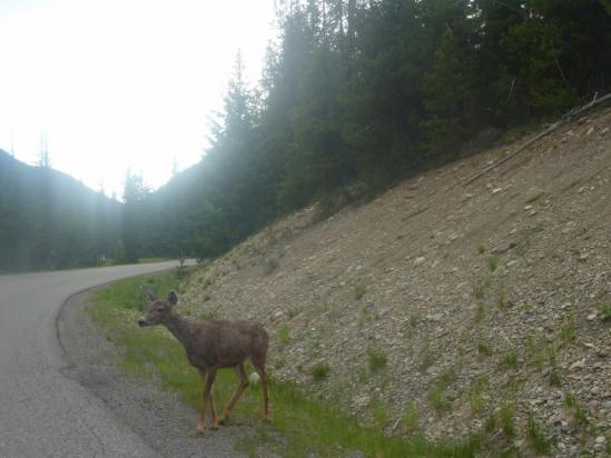 Rencontre en  chemin