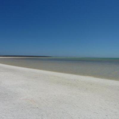 Shell Beach (Shark Bay)