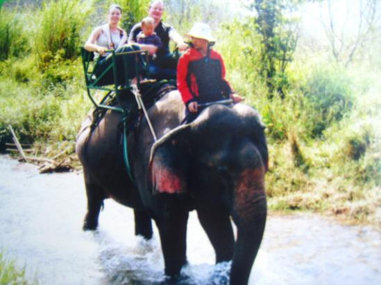 Dalat, balade à dos d'éléphant