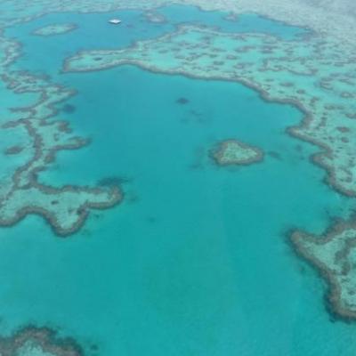 Grande Barrière de Corail - Hardy Reef, du haut